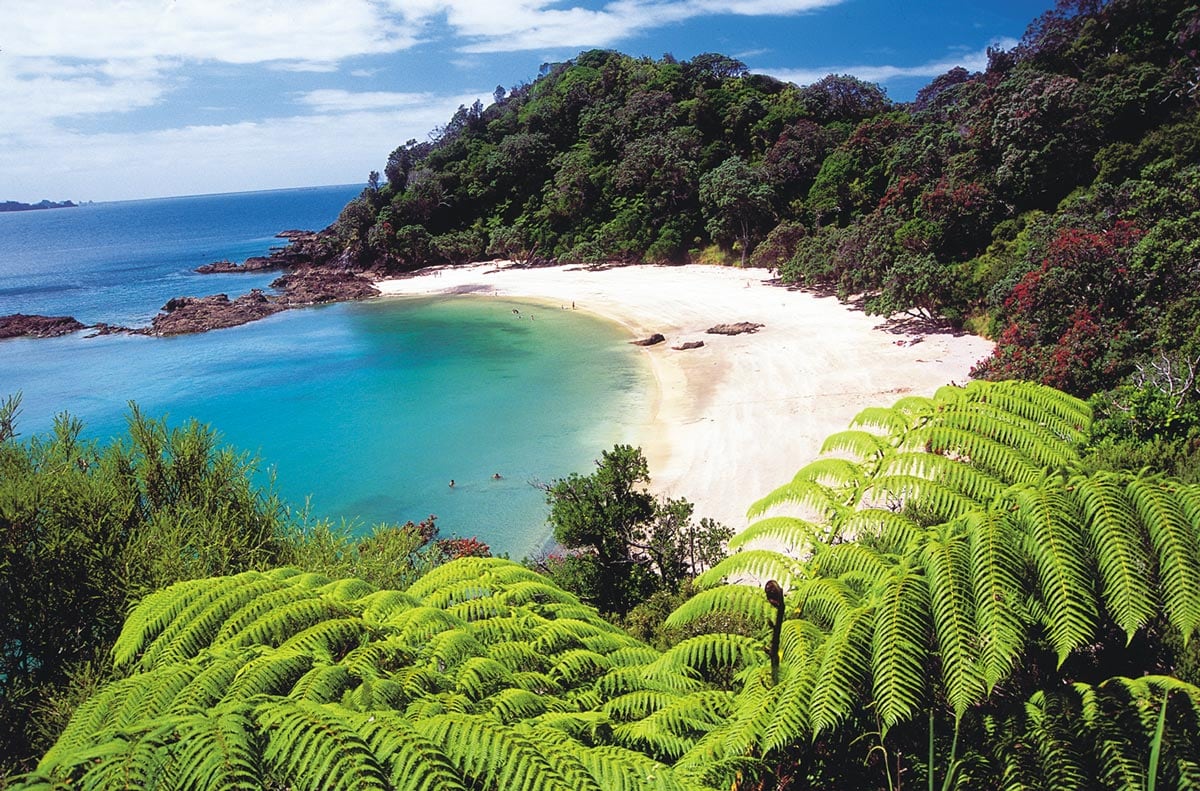 Whangarei area