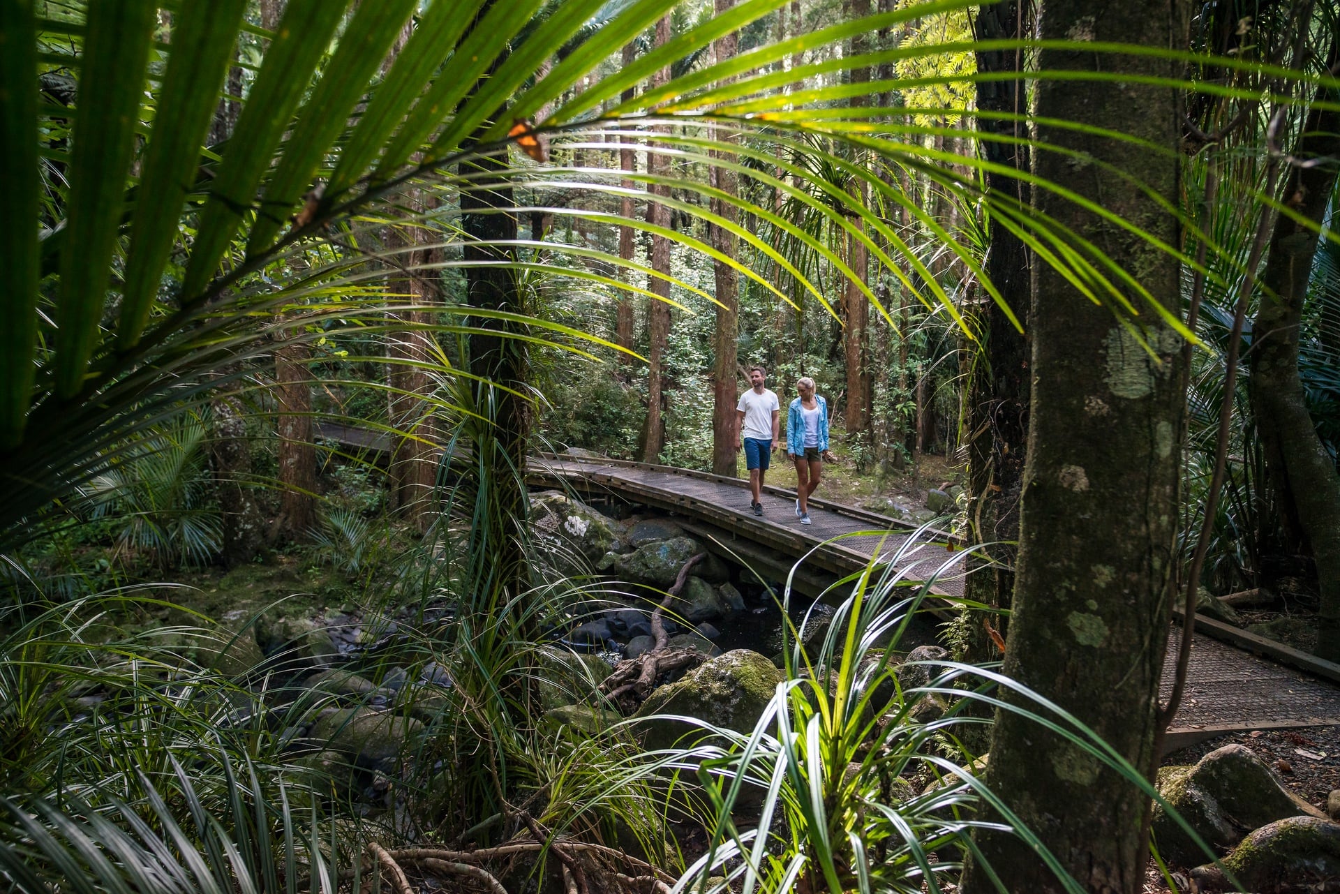 Whangarei Walks You Shouldn't Miss!